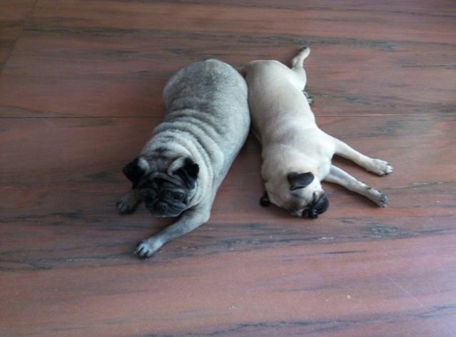 Image and video hosting by TinyPic