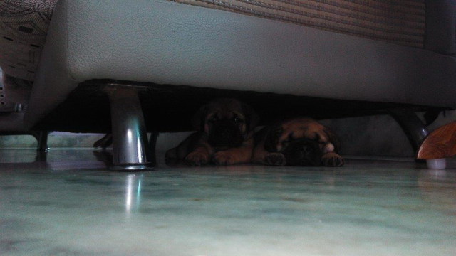 Image and video hosting by TinyPic