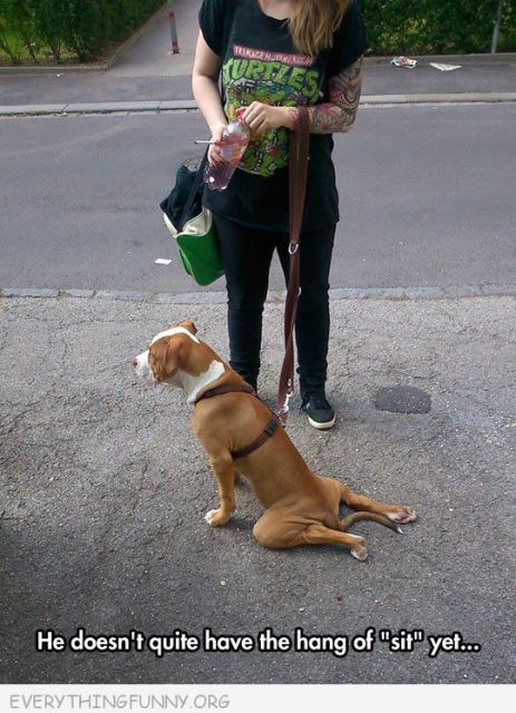 Image and video hosting by TinyPic