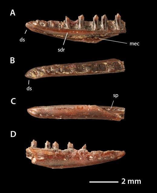 Image and video hosting by TinyPic