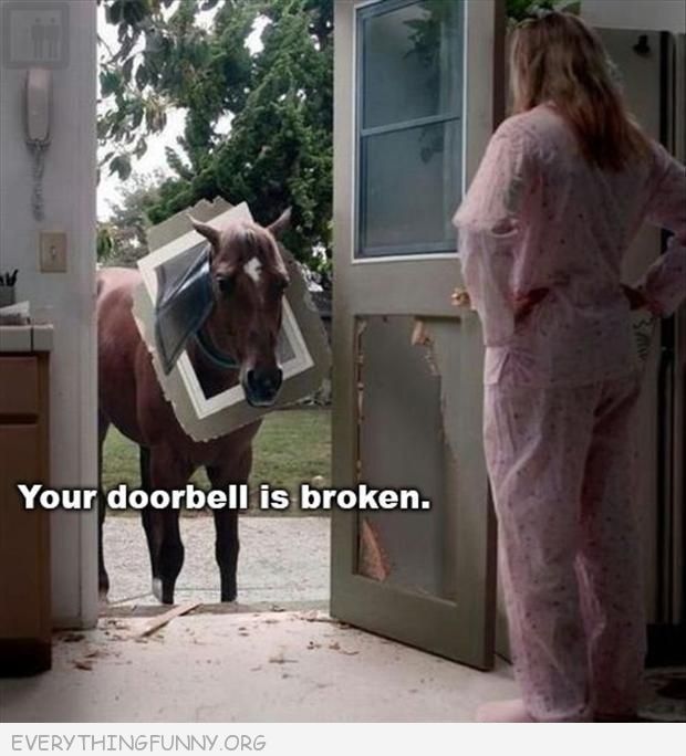 Image and video hosting by TinyPic