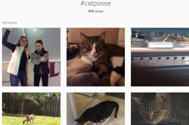 Image and video hosting by TinyPic