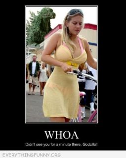 Image and video hosting by TinyPic