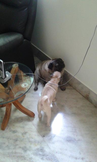 Image and video hosting by TinyPic