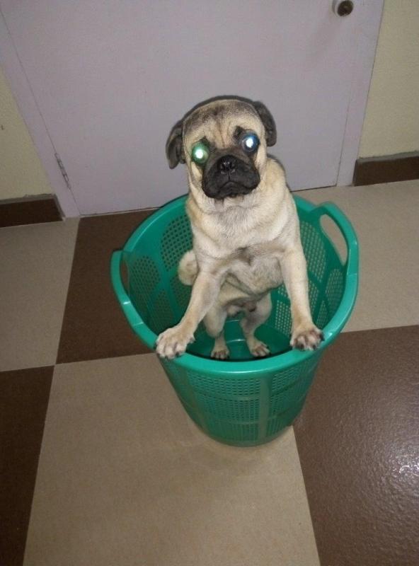 Image and video hosting by TinyPic