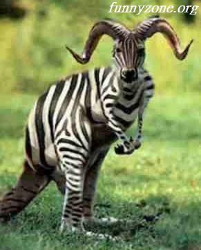 Image and video hosting by TinyPic