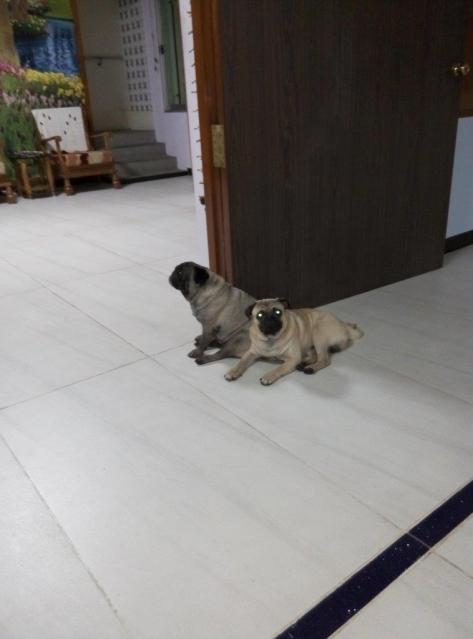 Image and video hosting by TinyPic