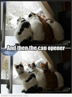 Image and video hosting by TinyPic