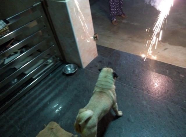 Image and video hosting by TinyPic