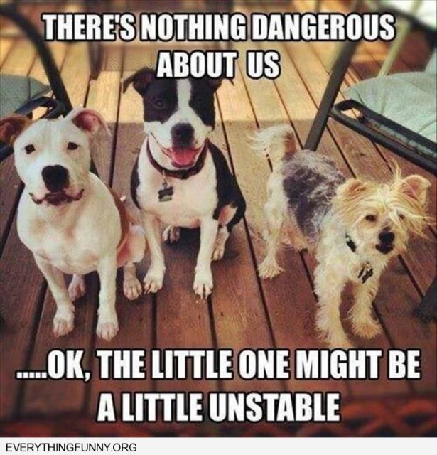 Image and video hosting by TinyPic