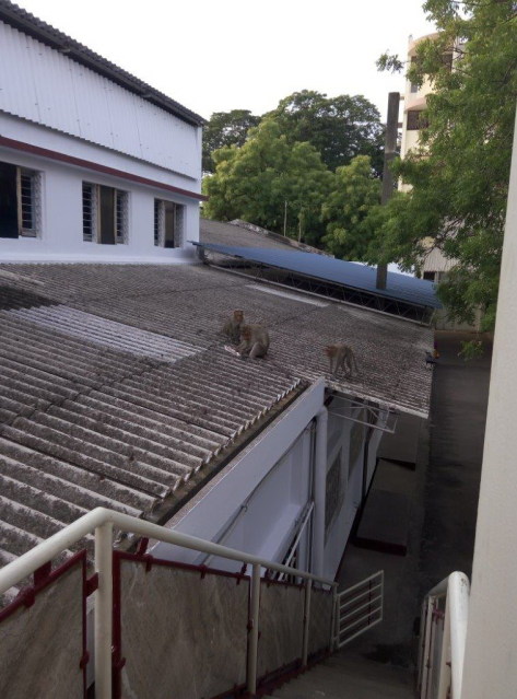 Image and video hosting by TinyPic