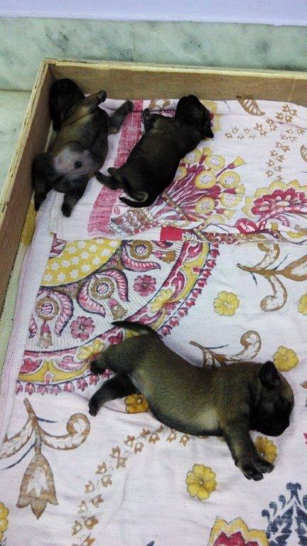 Image and video hosting by TinyPic