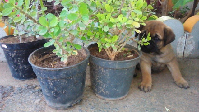 Image and video hosting by TinyPic