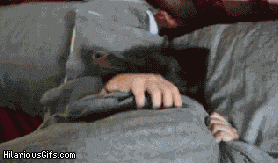 Image and video hosting by TinyPic