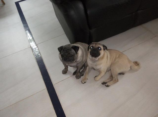 Image and video hosting by TinyPic