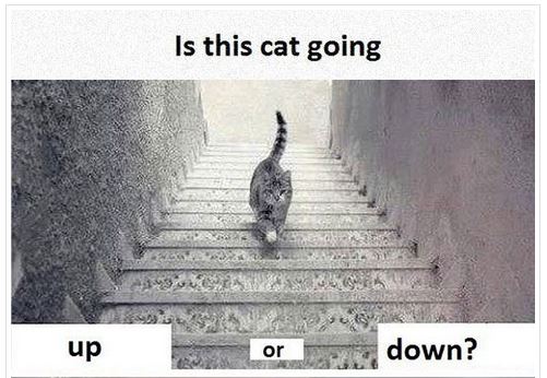 Image and video hosting by TinyPic