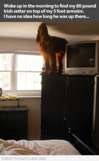 Image and video hosting by TinyPic