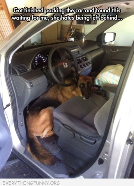 Image and video hosting by TinyPic