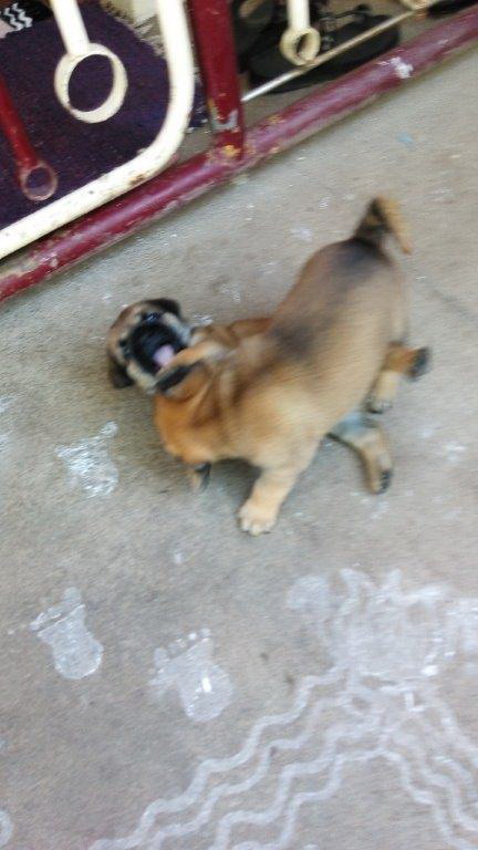 Image and video hosting by TinyPic