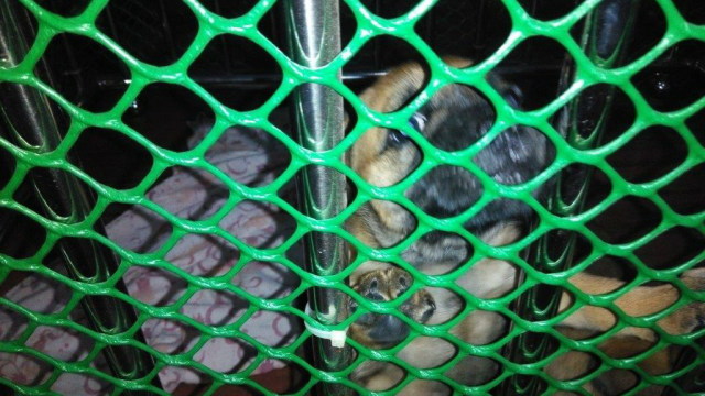 Image and video hosting by TinyPic