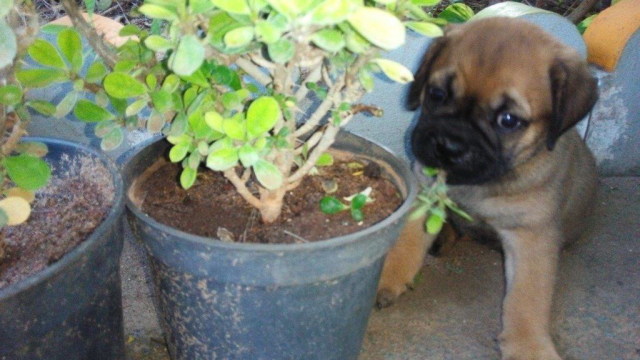 Image and video hosting by TinyPic