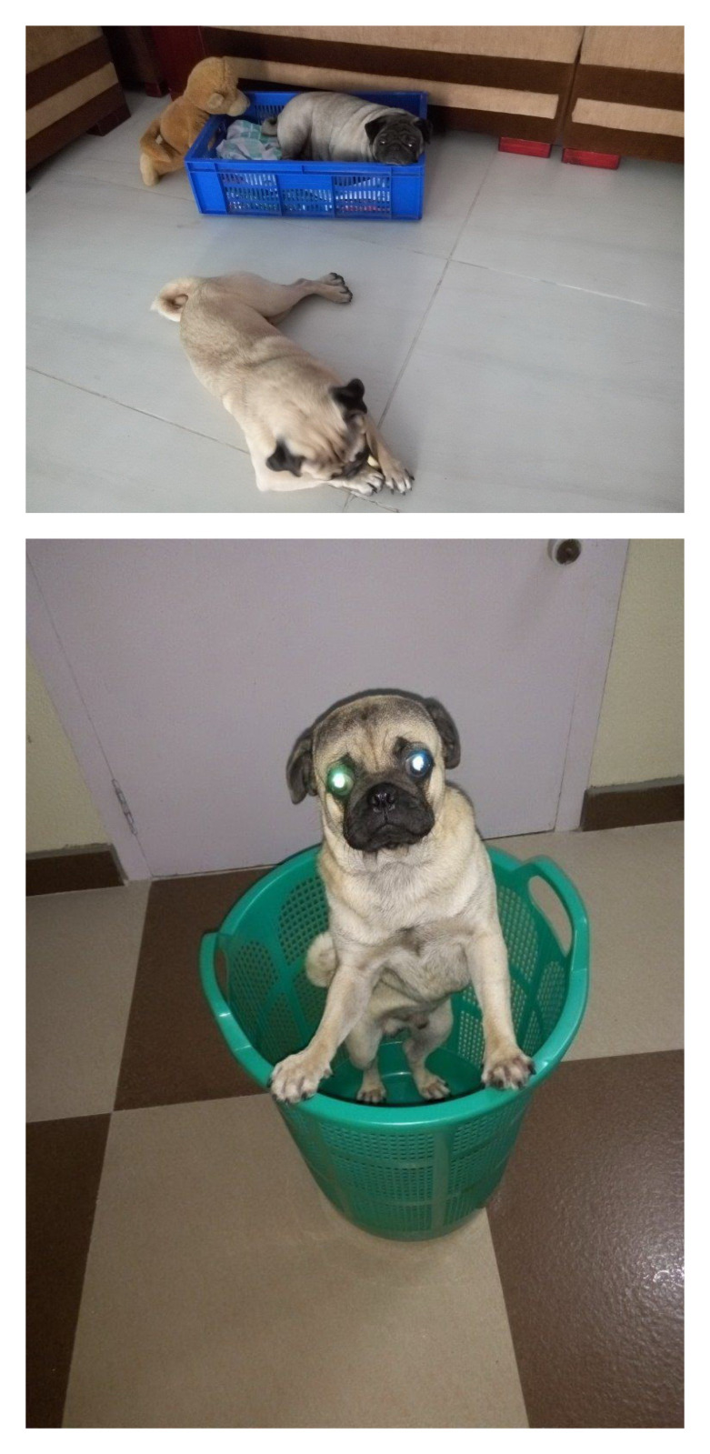 Image and video hosting by TinyPic