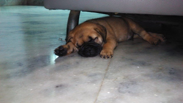 Image and video hosting by TinyPic