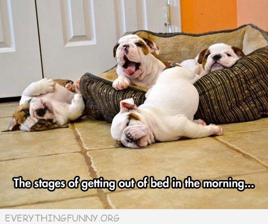 Image and video hosting by TinyPic