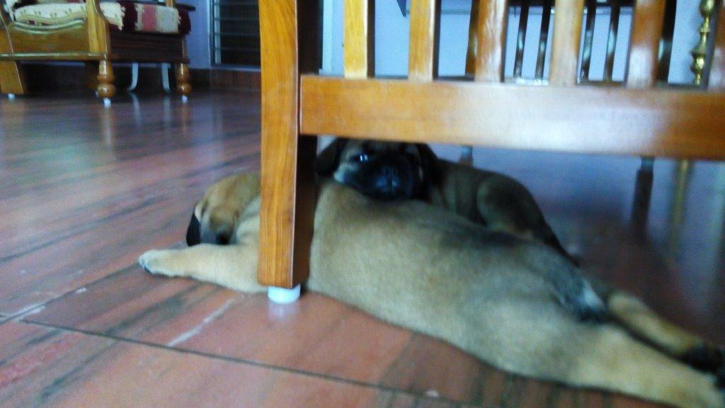 Image and video hosting by TinyPic