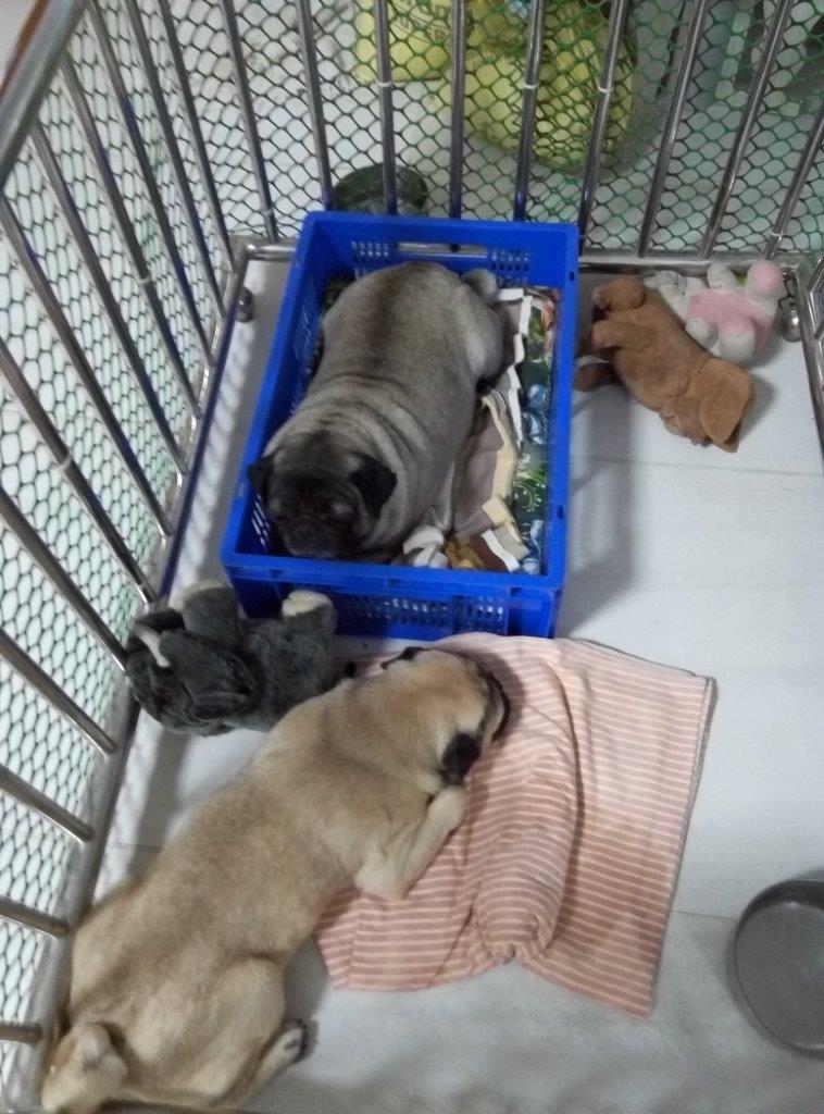 Image and video hosting by TinyPic