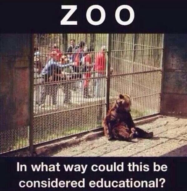 Image and video hosting by TinyPic