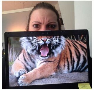 Image and video hosting by TinyPic