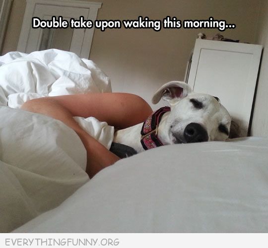 Image and video hosting by TinyPic