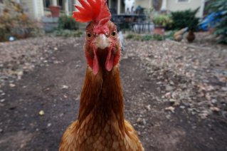 Image and video hosting by TinyPic